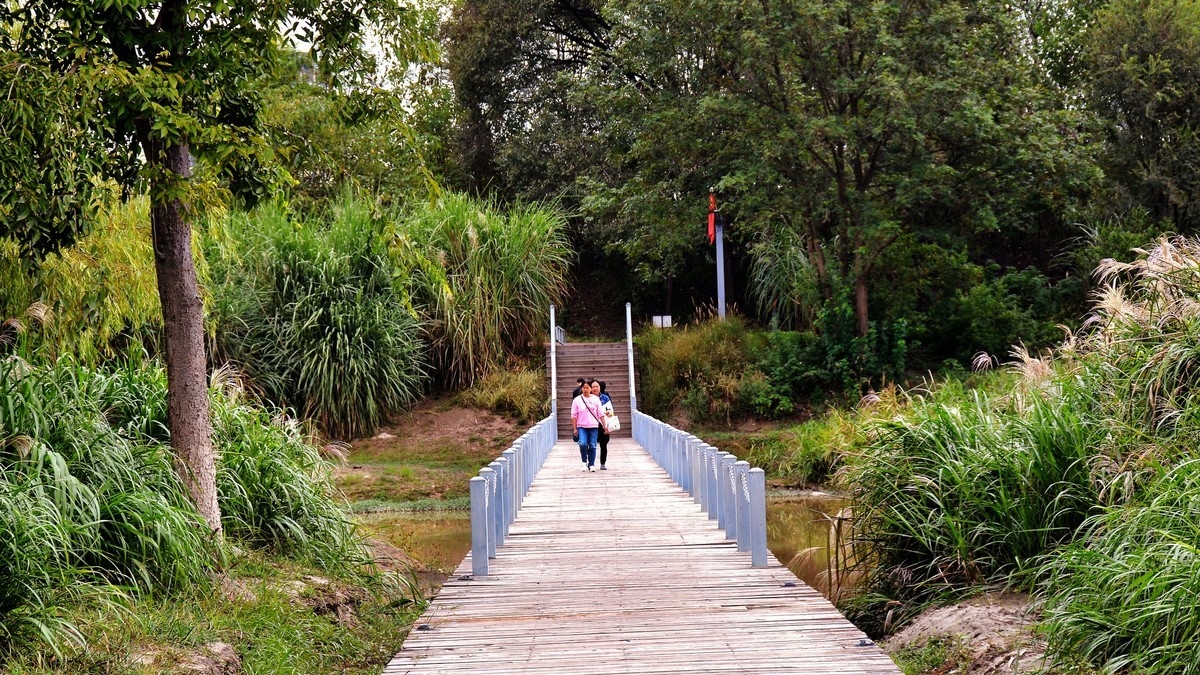 湿地秋拍（2024291）