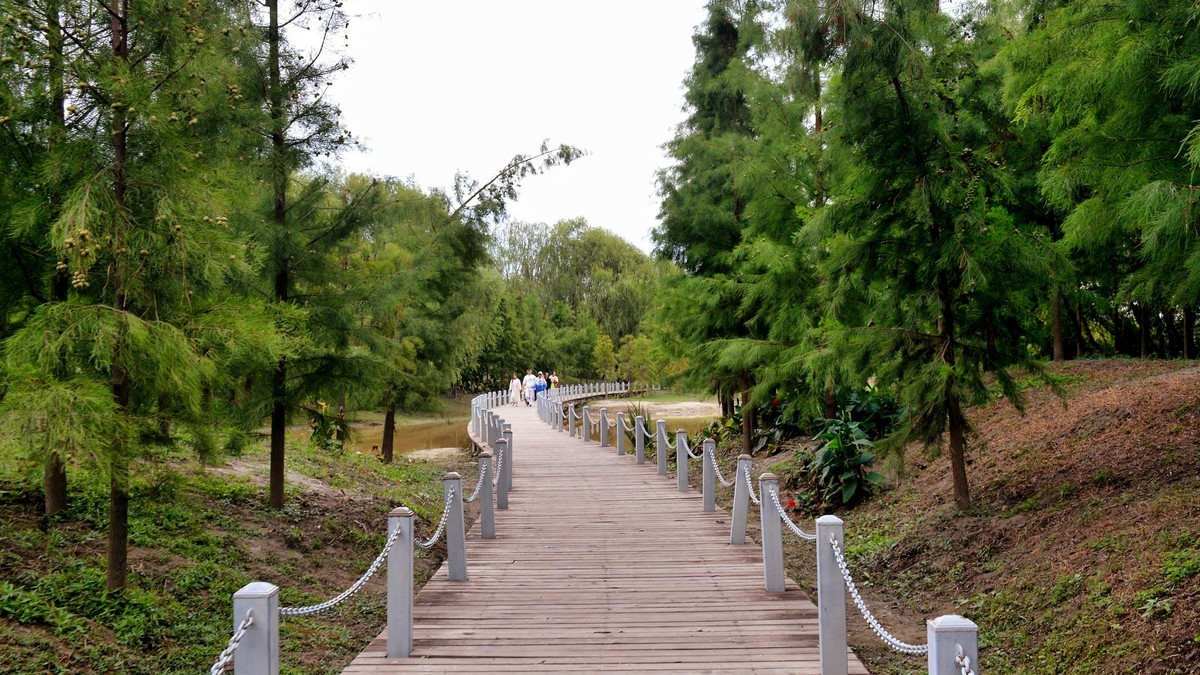 湿地秋拍（2024291）