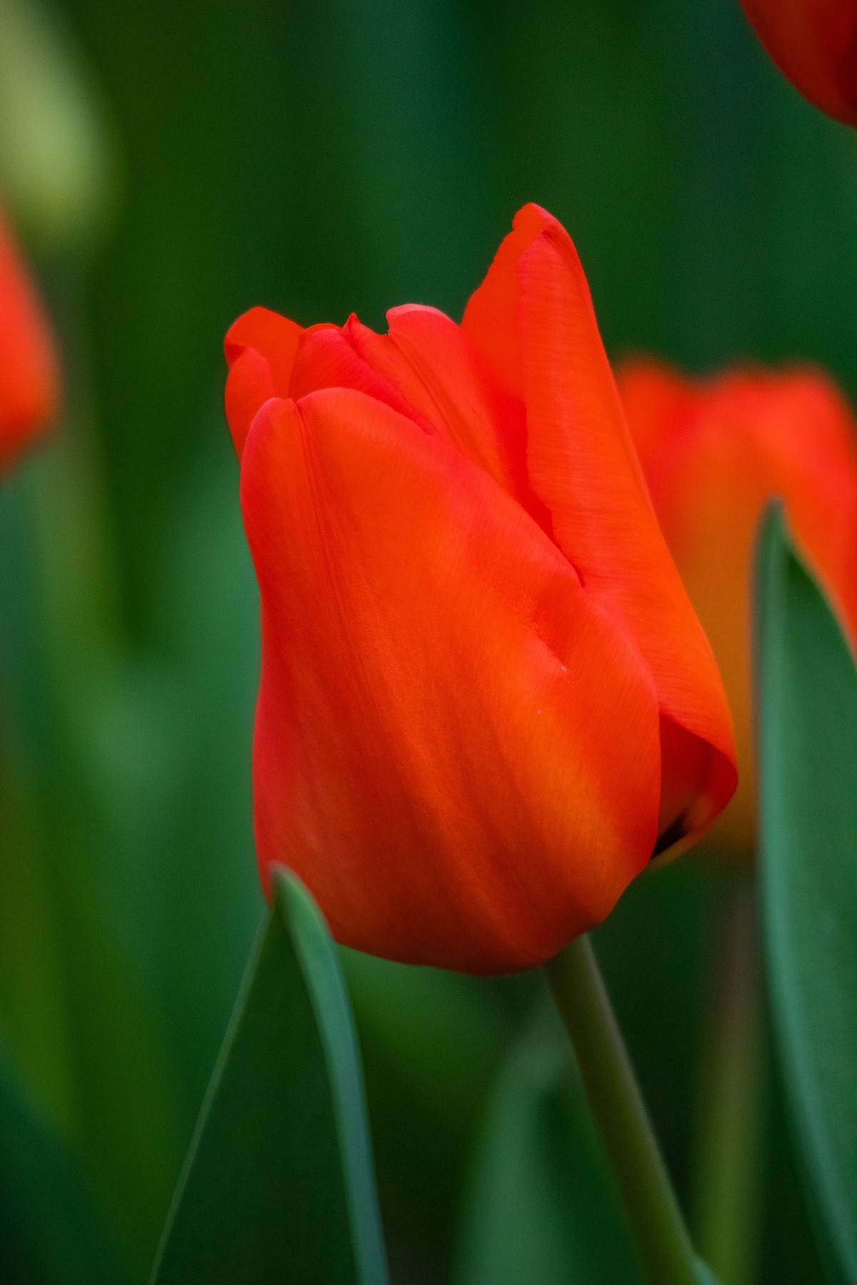 长春农博园M6小试