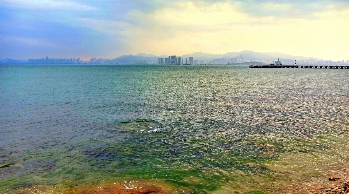 海景 / 威海 2020