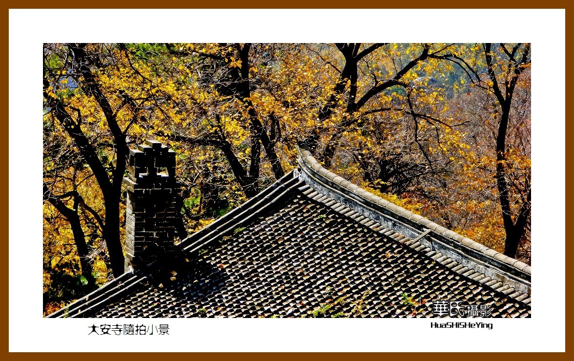 我爱家乡——大安寺随拍小景（辽宁鞍山千山）