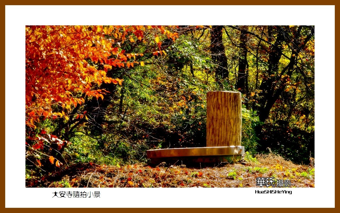 我爱家乡——大安寺随拍小景（辽宁鞍山千山）