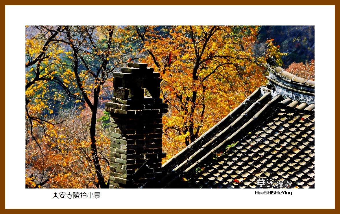 我爱家乡——大安寺随拍小景（辽宁鞍山千山）