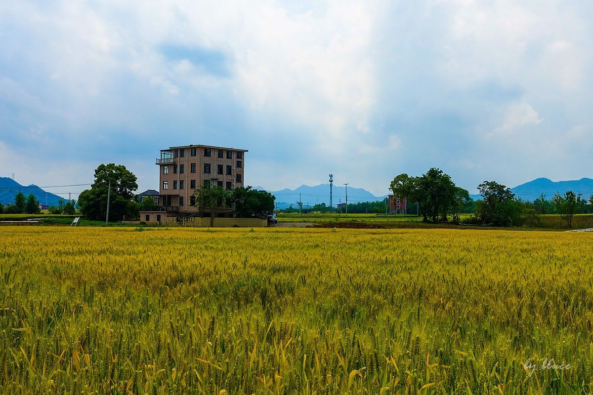 杭州富阳----阳陂湖（3）