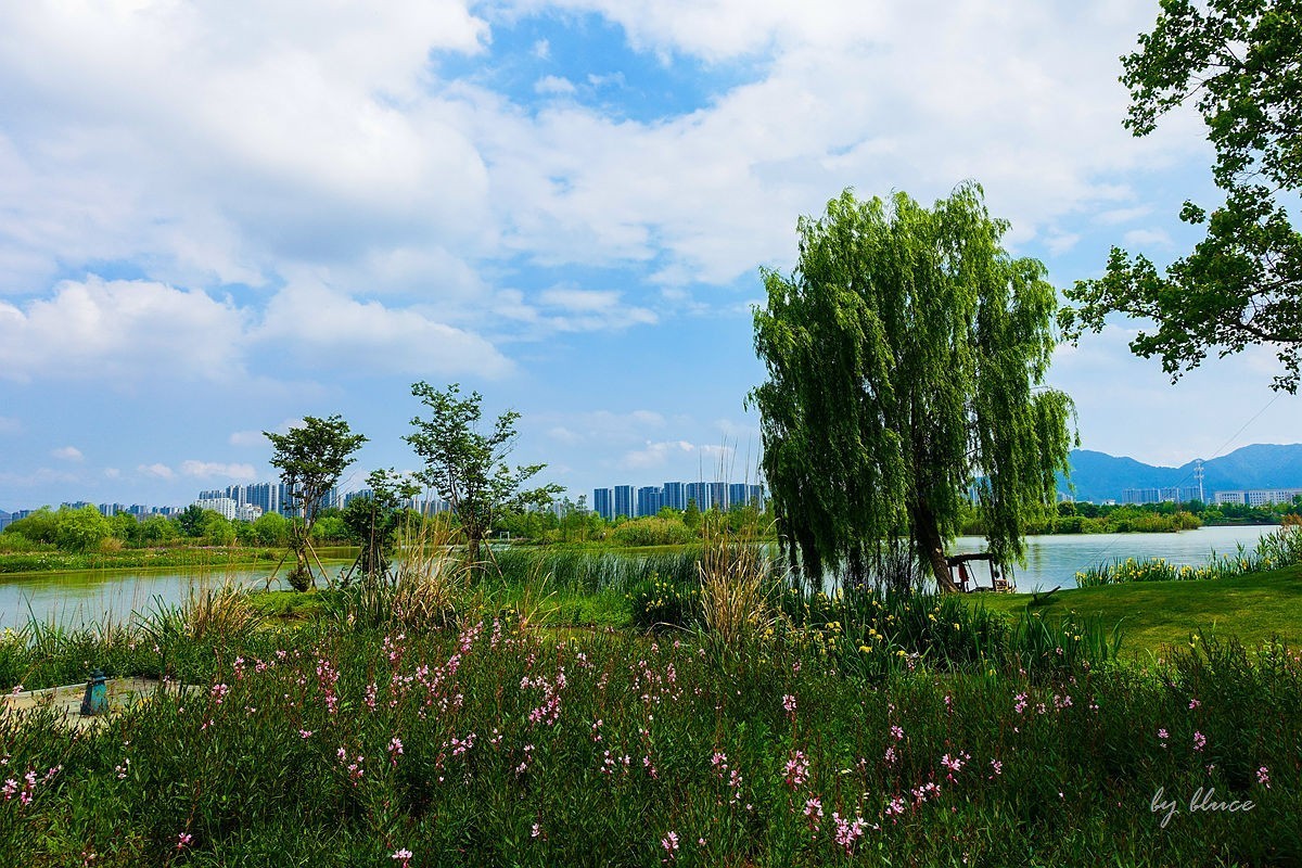 杭州富阳----阳陂湖（3）
