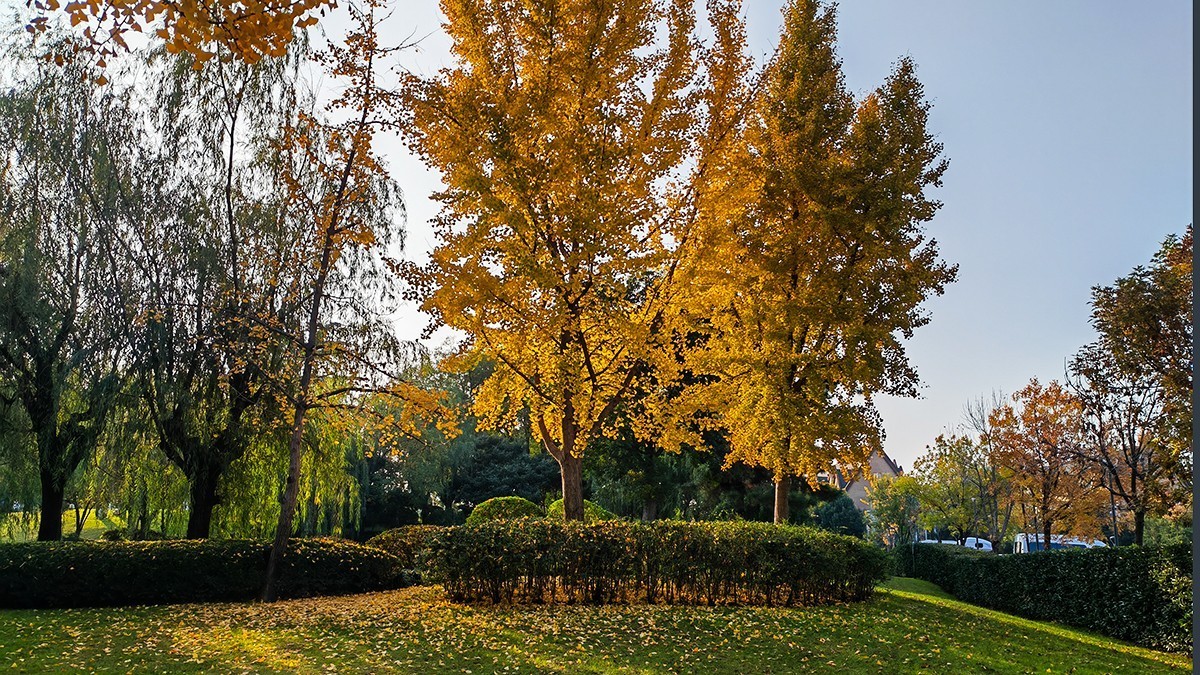 地中海广场爱丽丝公园