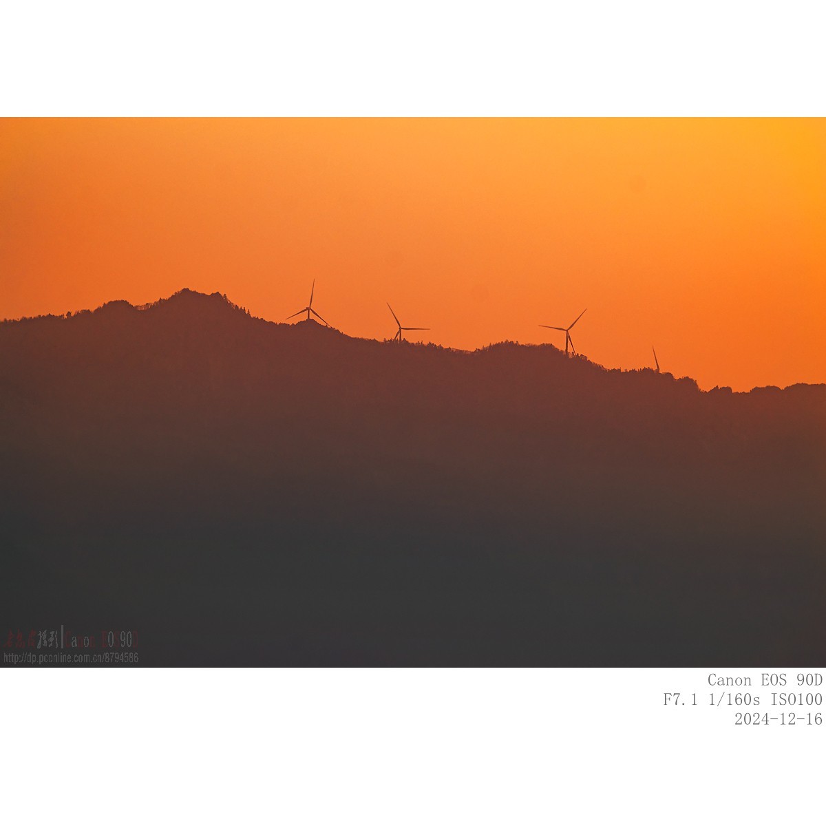 夕照（24.12.16）