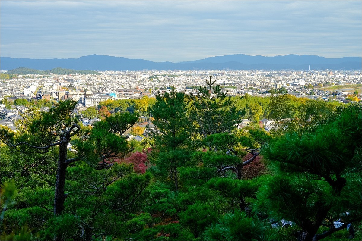 2025年第0153贴-京都岚山风光旅拍（0306）