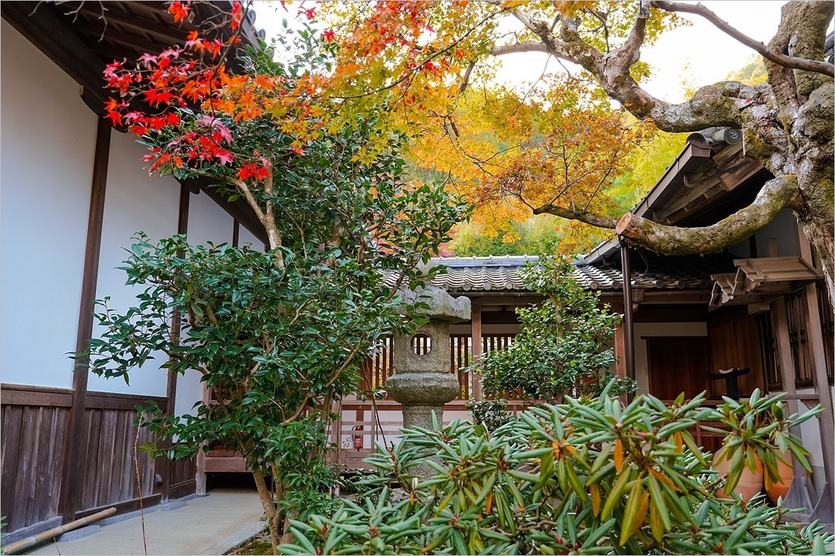 2025年第0153贴-京都岚山风光旅拍（0306）