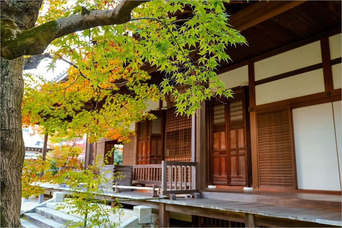 2025年第0153贴-京都岚山风光旅拍（0306）