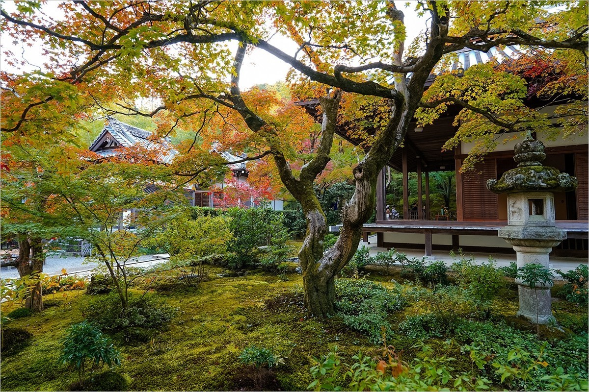 2025年第0153贴-京都岚山风光旅拍（0306）