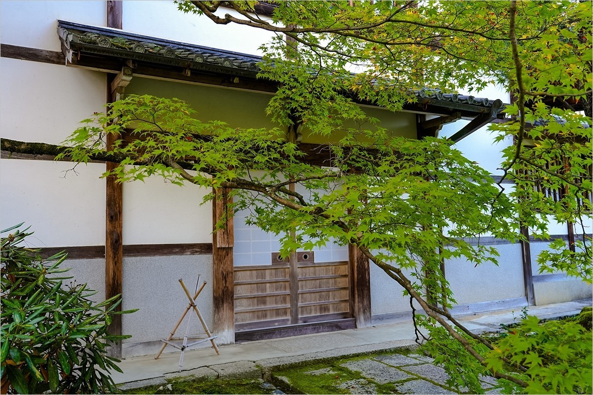 2025年第0153贴-京都岚山风光旅拍（0306）