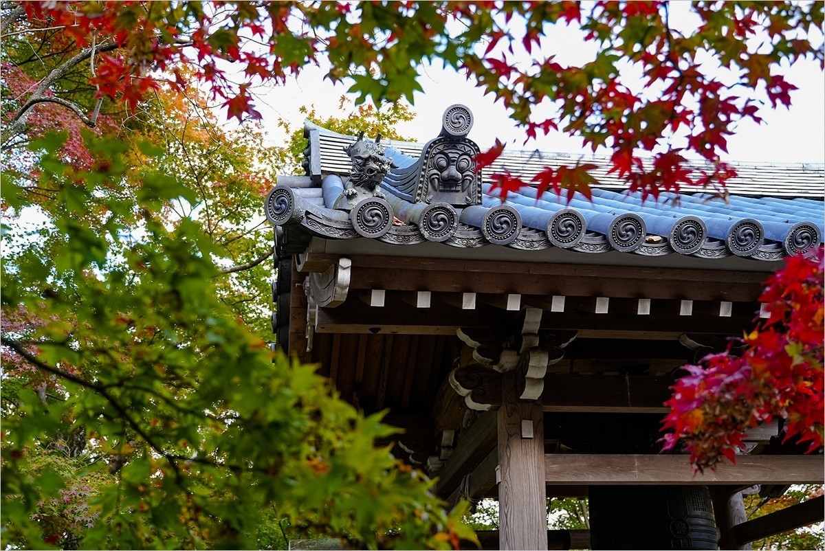 2025年第0153贴-京都岚山风光旅拍（0306）