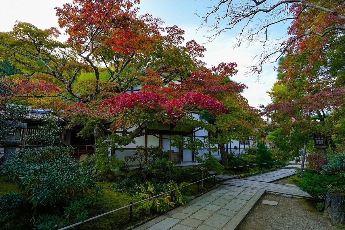 2025年第0153贴-京都岚山风光旅拍（0306）