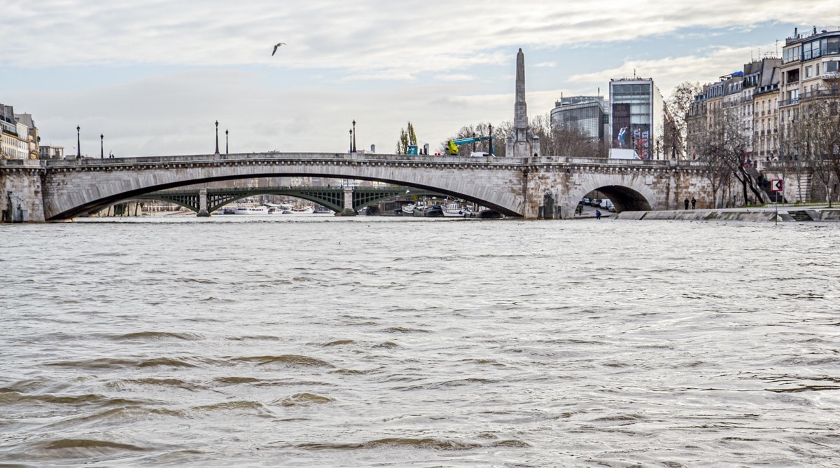 携“塞纳（灰）河”拜望红河师友，祝春日安好！！！