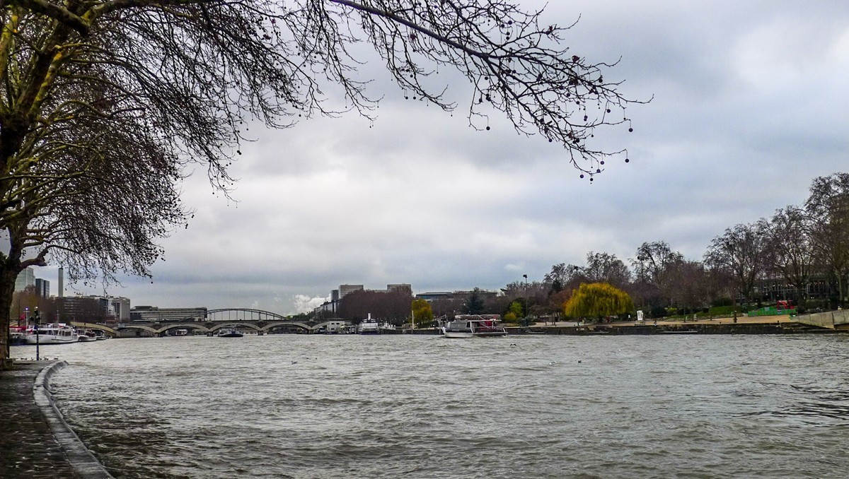 携“塞纳（灰）河”拜望红河师友，祝春日安好！！！