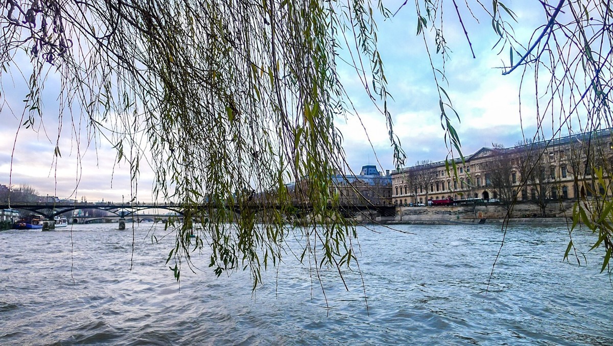 携“塞纳（灰）河”拜望红河师友，祝春日安好！！！