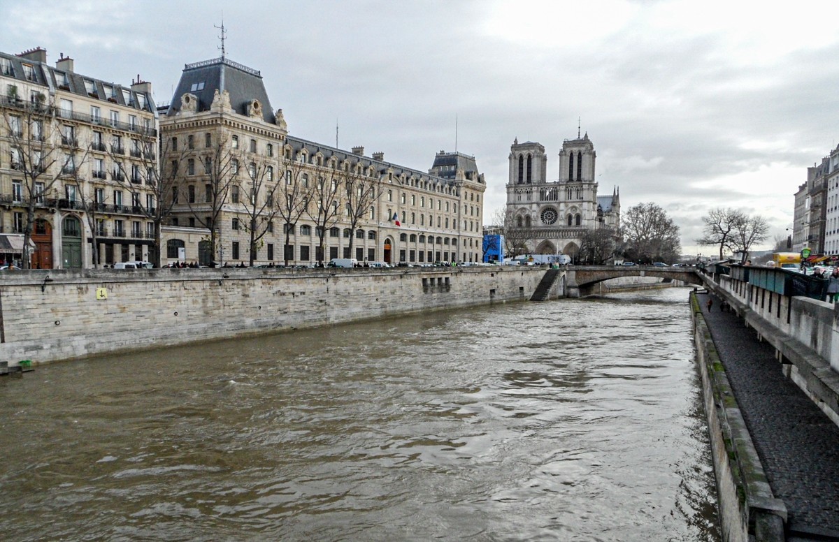 携“塞纳（灰）河”拜望红河师友，祝春日安好！！！