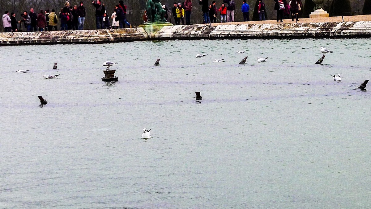 ”法尔塞宫“纪实