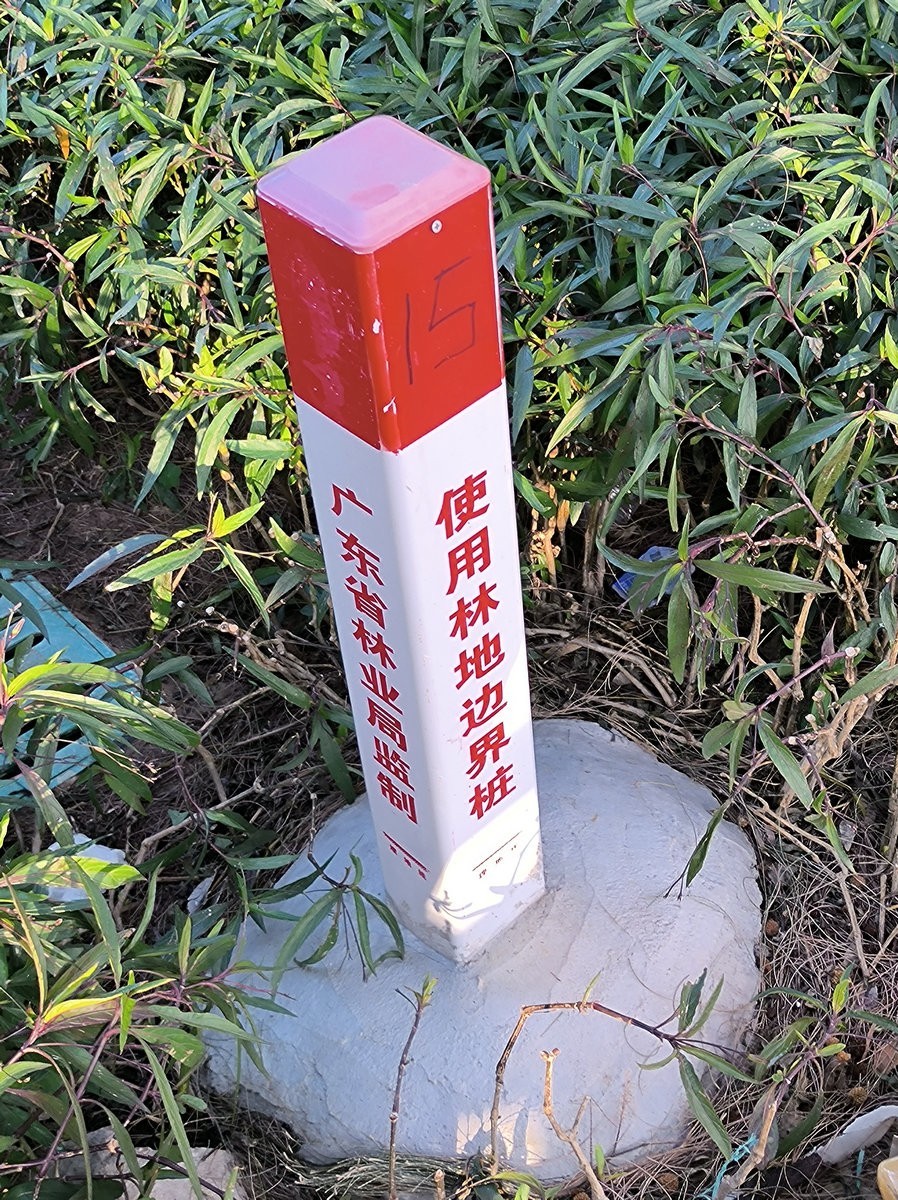 2025春节 广东行（26）妈屿岛风景区