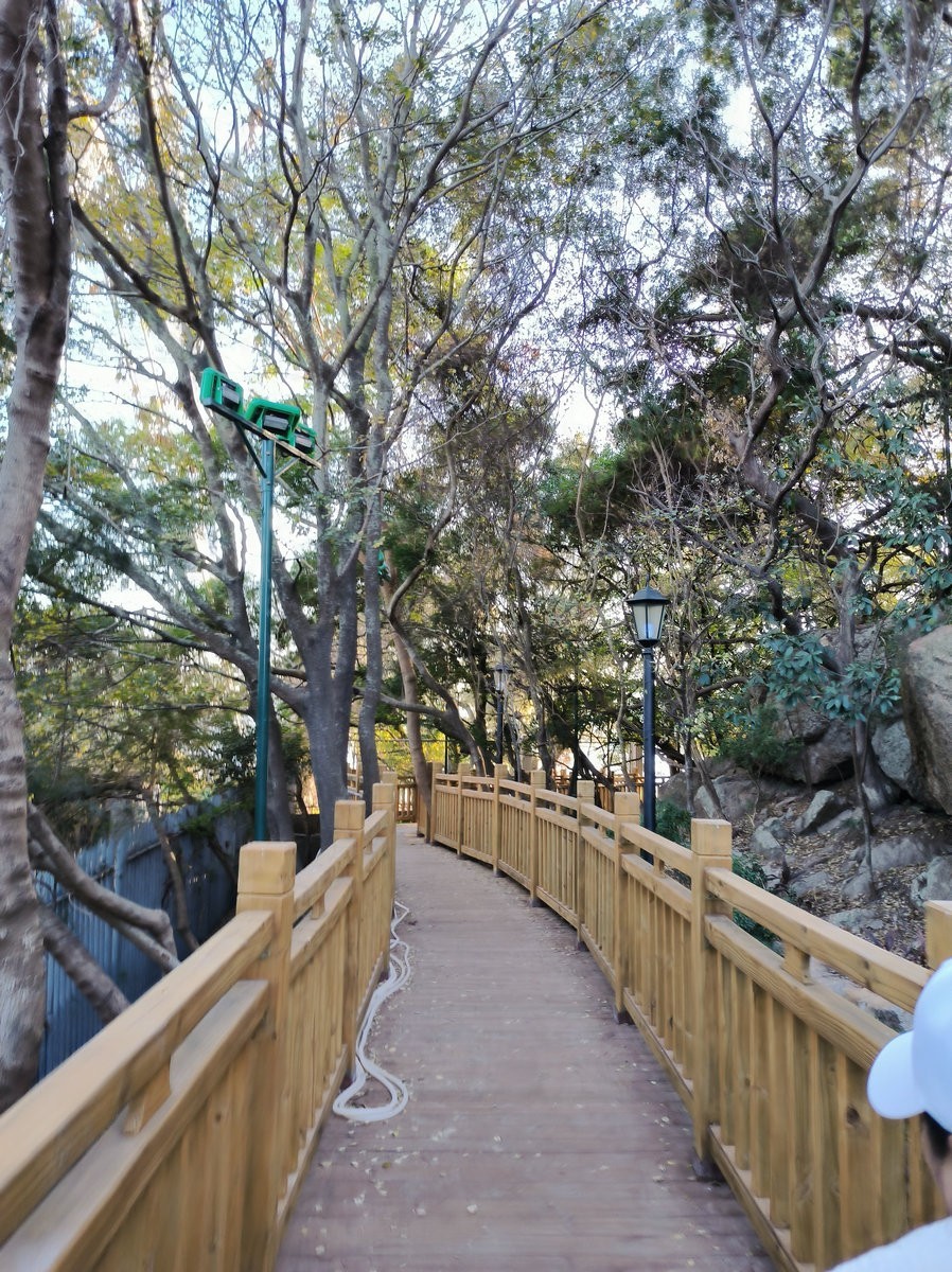 2025春节 广东行（26）妈屿岛风景区