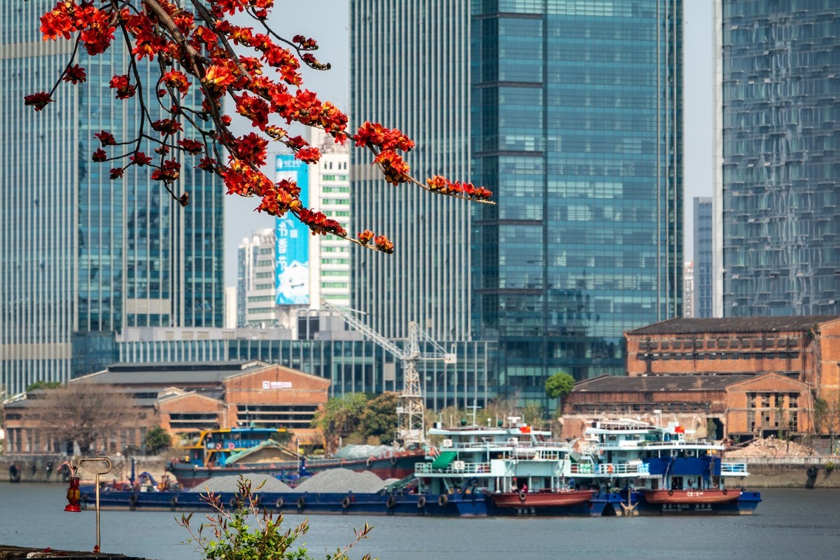 红棉映之窗（7）