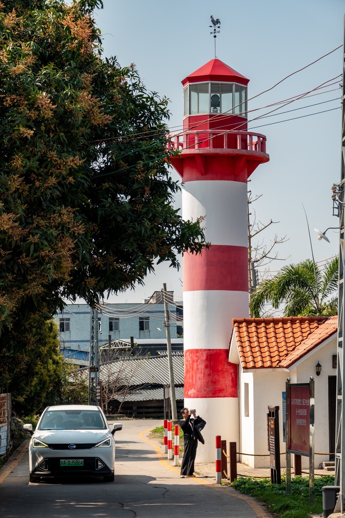 红棉映之窗（7）