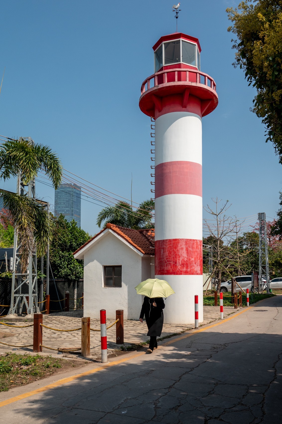 红棉映之窗（7）