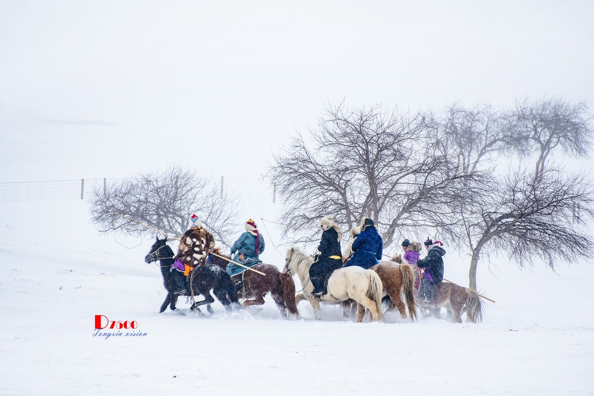 强健&靓丽的牧马人（58）