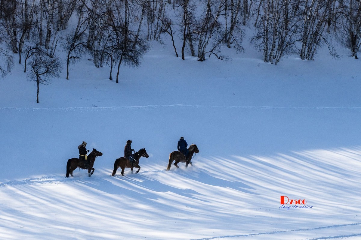 强健&靓丽的牧马人（58）