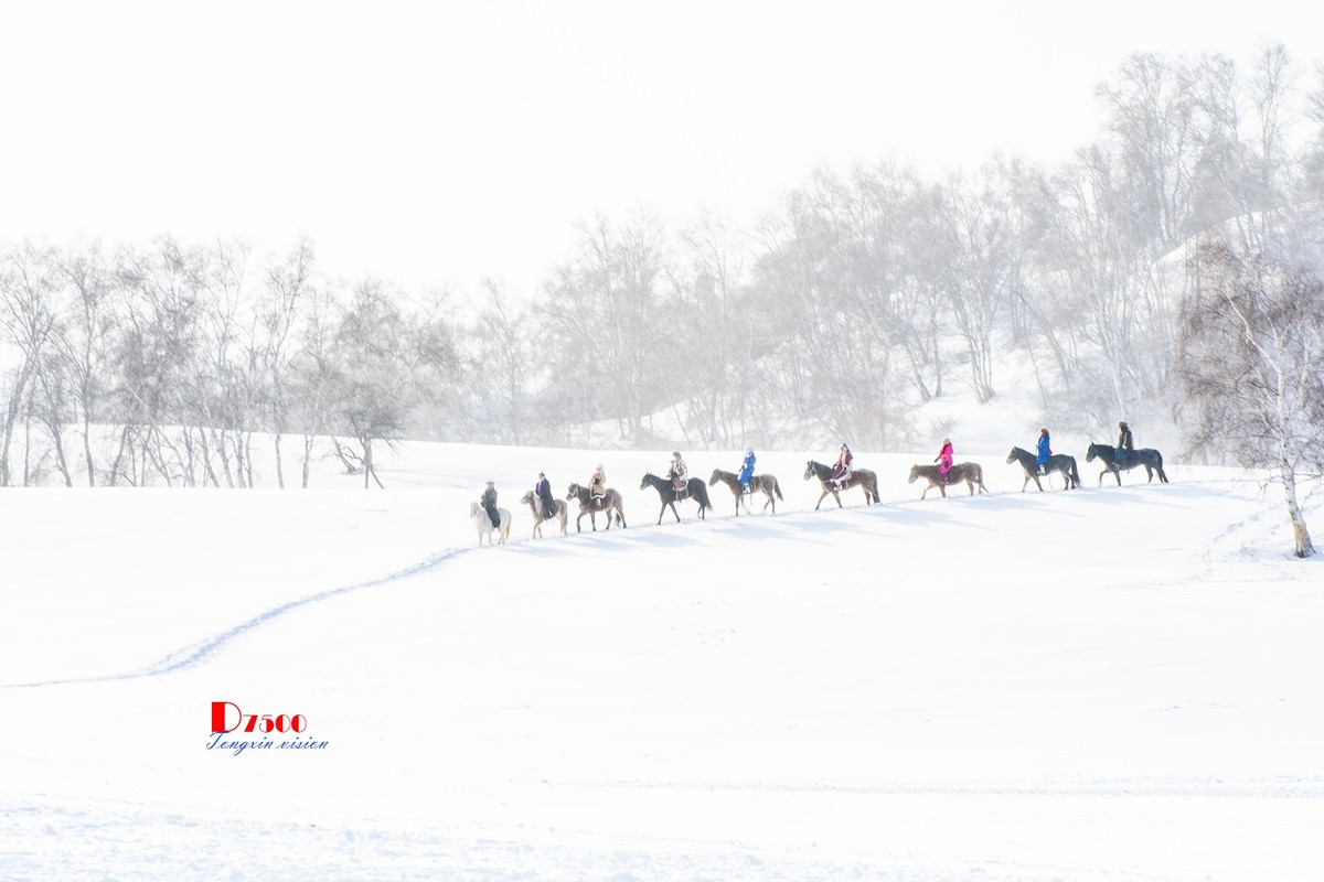 强健&靓丽的牧马人（58）