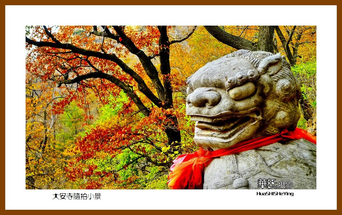 我爱家乡——大安寺随拍小景（辽宁鞍山千山）