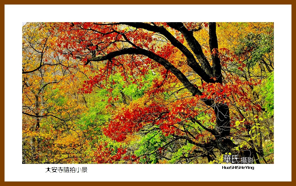 我爱家乡——大安寺随拍小景（辽宁鞍山千山）