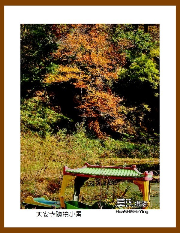 我爱家乡——大安寺随拍小景（辽宁鞍山千山）