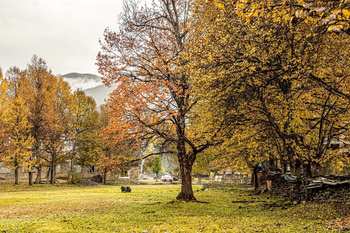 金秋川西--甲根坝【7】