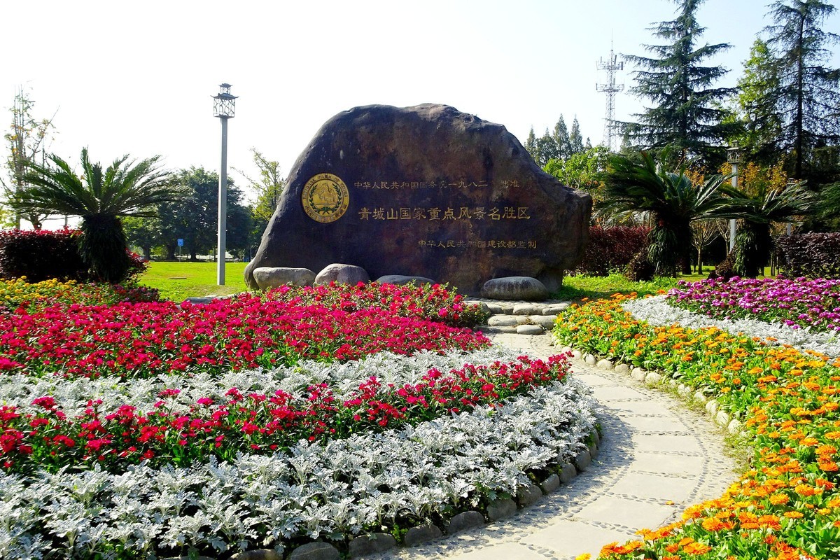 【今日立冬】青城山的银杏大道银杏渐黄