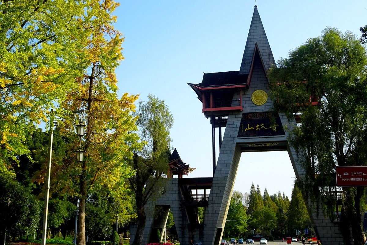 【今日立冬】青城山的银杏大道银杏渐黄