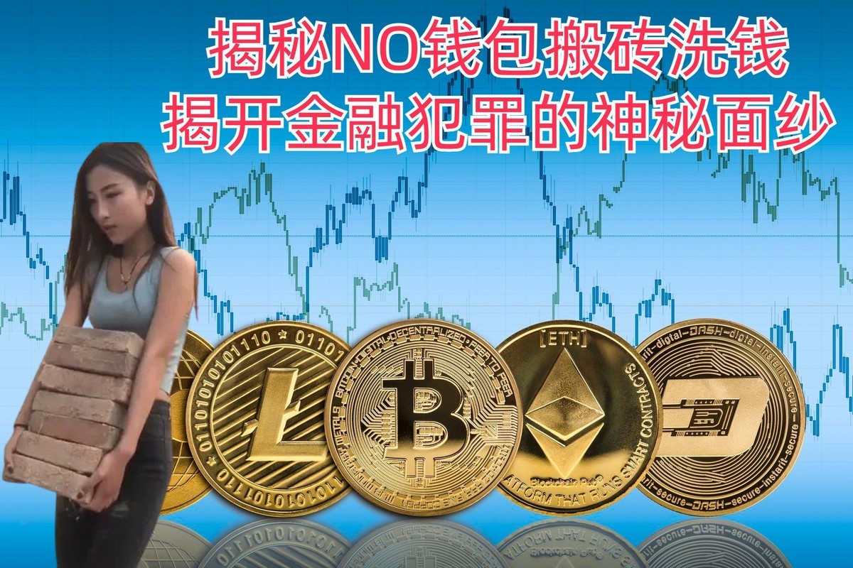揭秘NO钱包搬砖洗钱：揭开金融犯罪的神秘面纱
