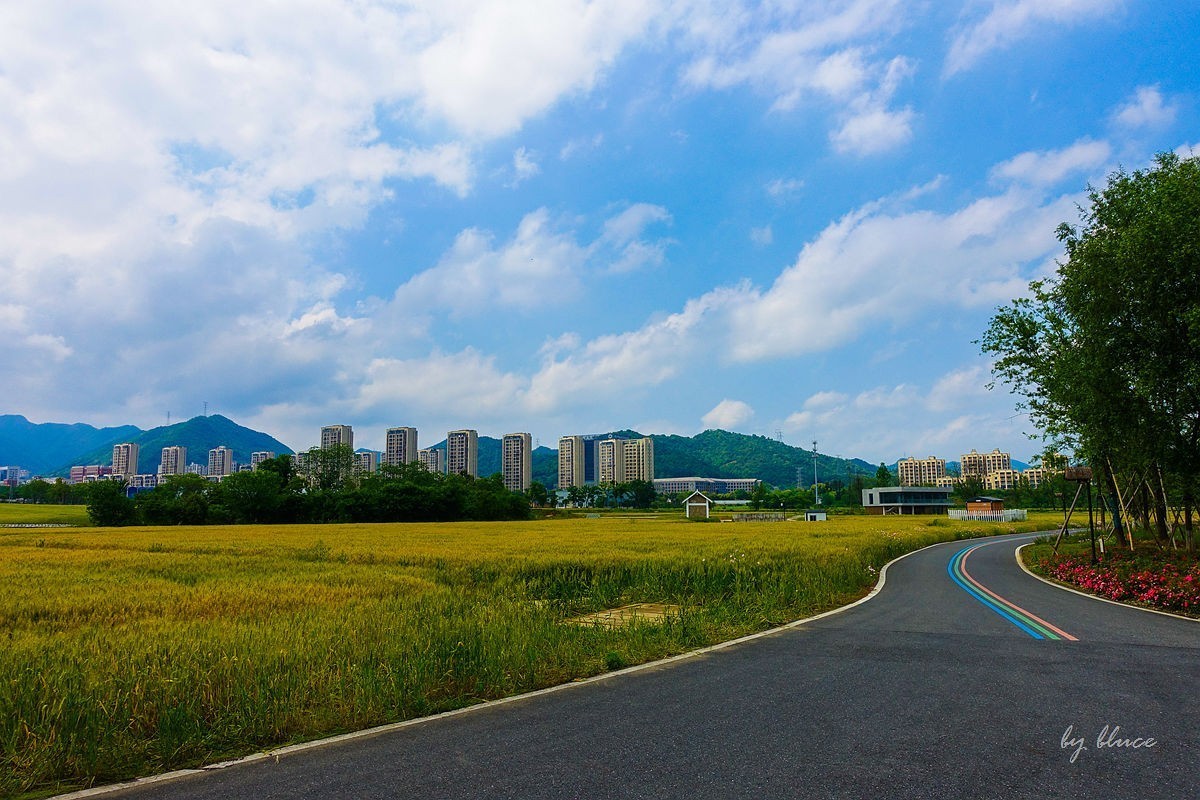 杭州富阳----阳陂湖（3）