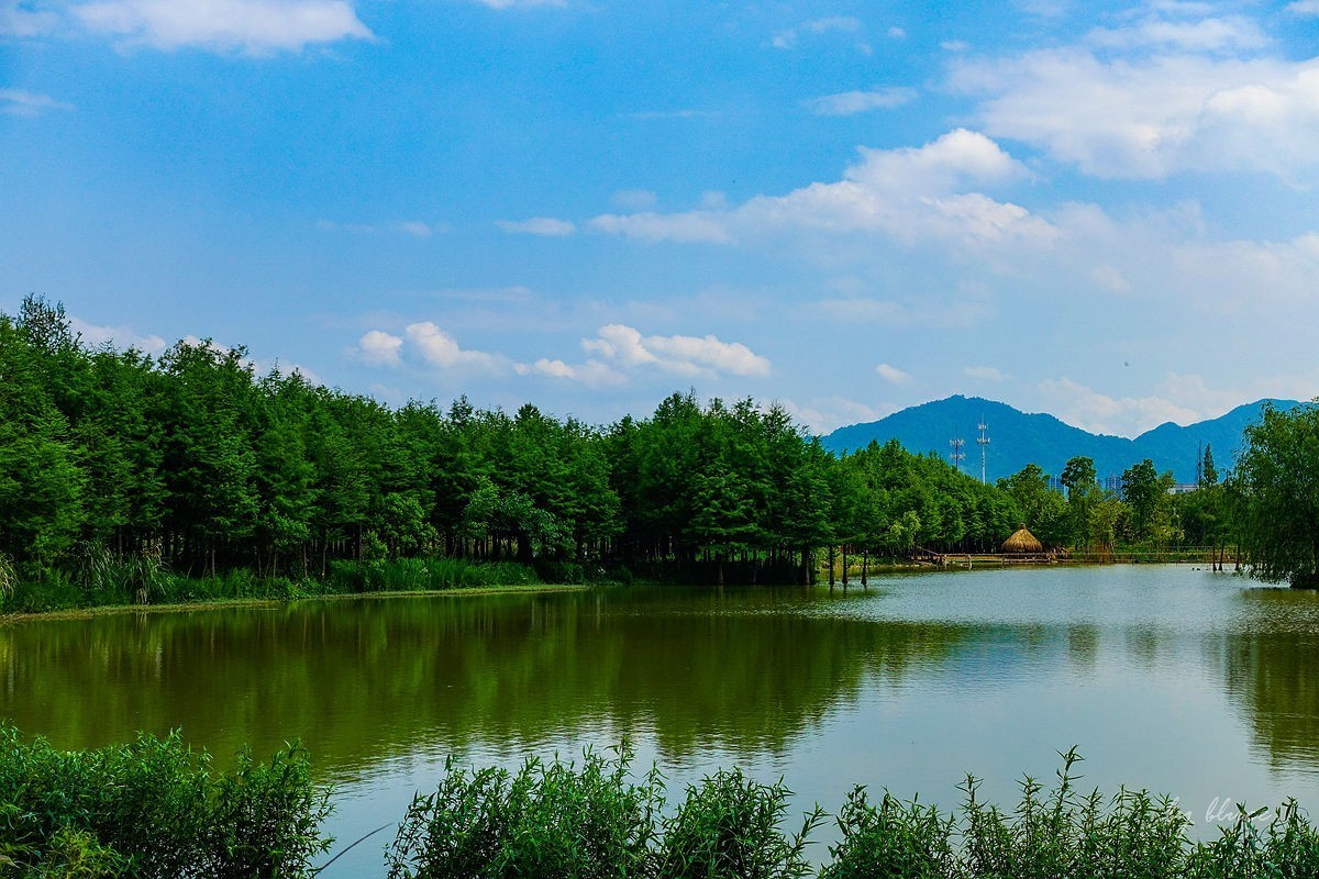 杭州富阳----阳陂湖（3）