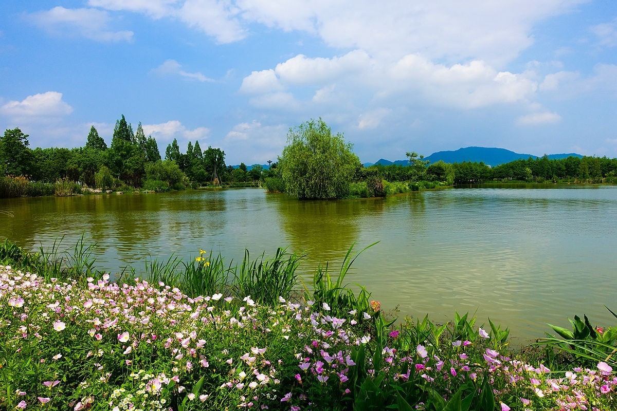 杭州富阳----阳陂湖（3）