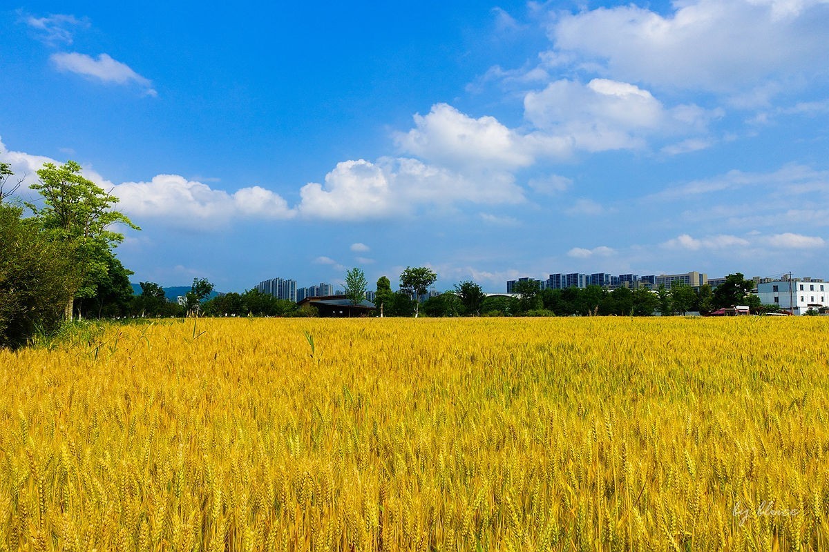 杭州富阳----阳陂湖（3）