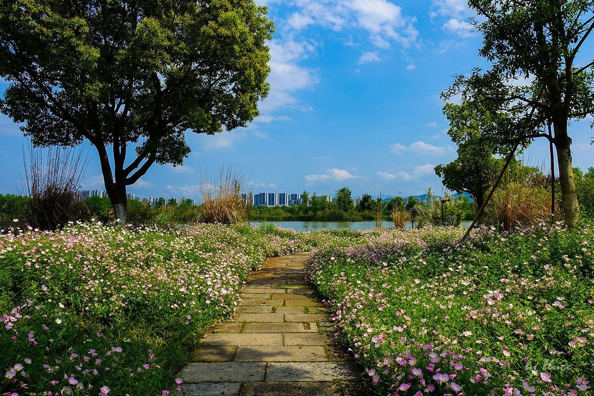杭州富阳----阳陂湖（3）