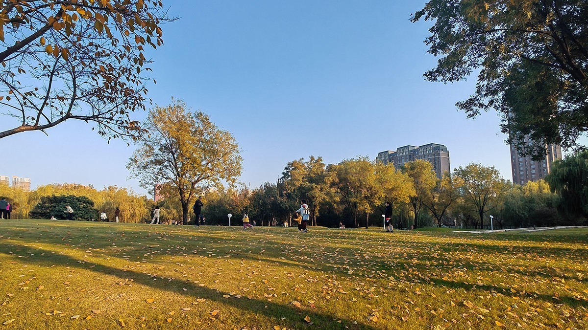 地中海广场爱丽丝公园