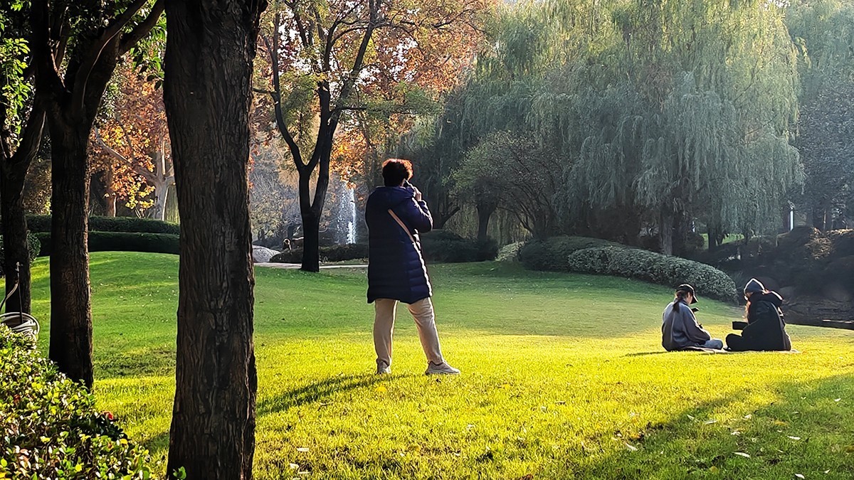 地中海广场爱丽丝公园