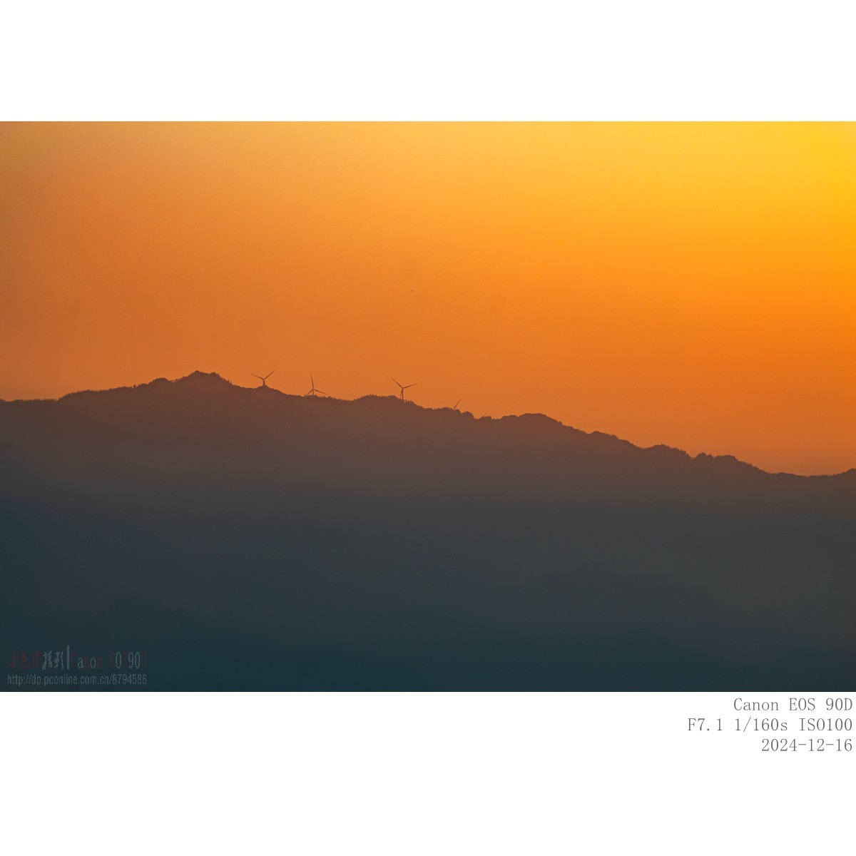 夕照（24.12.16）