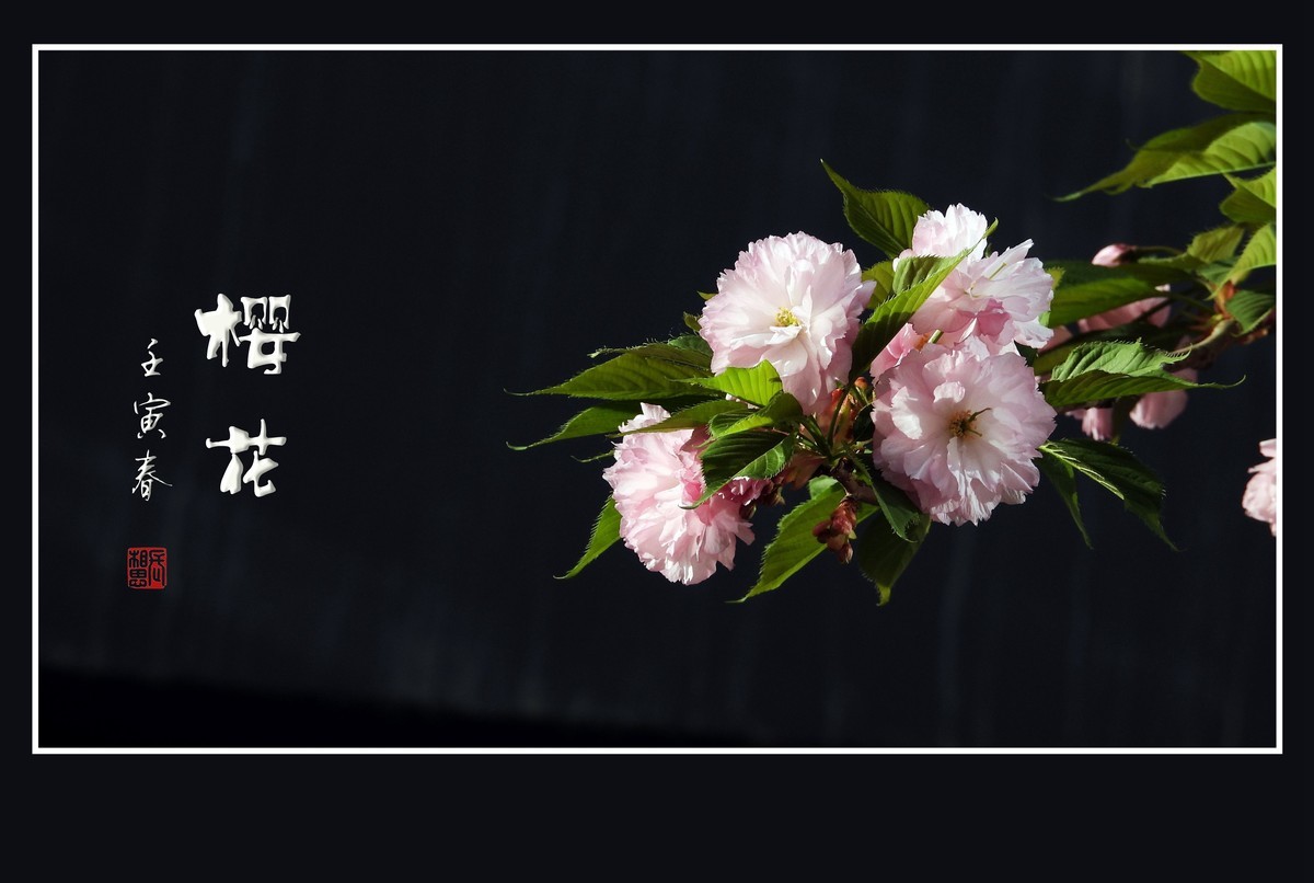 #版主坐堂#索尼大版星空(中国)2022年6月份优秀作品精选汇总