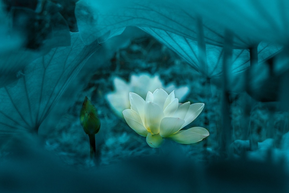 #版主坐堂#索尼大版星空(中国)2022年6月份优秀作品精选汇总