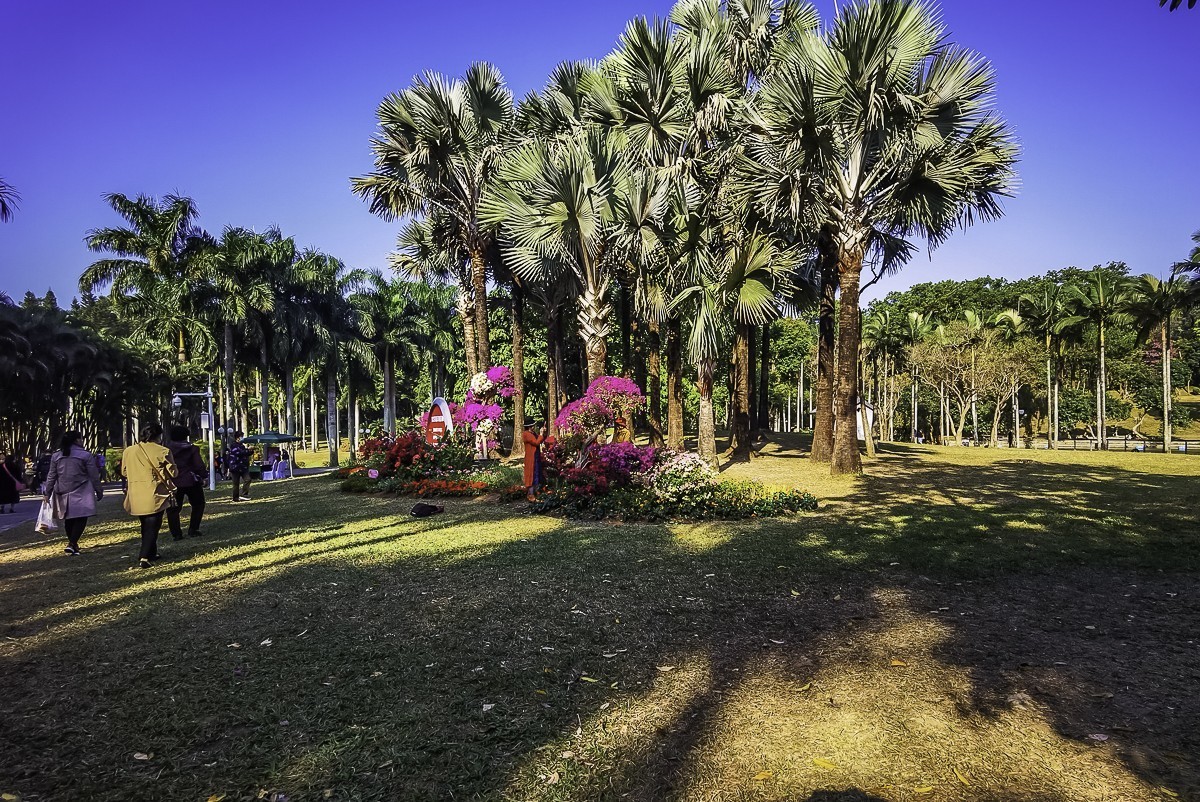 深圳莲花山公园掠影