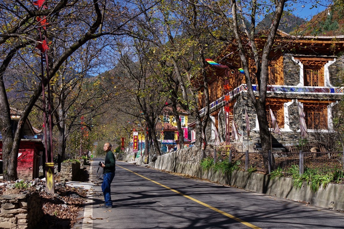 川西--黑水--奶子沟彩林【8】